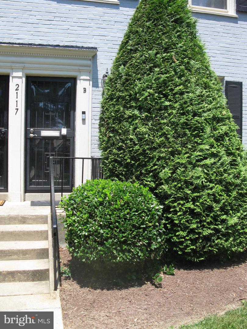 2117 Suitland Terrace SE #b, Washington
