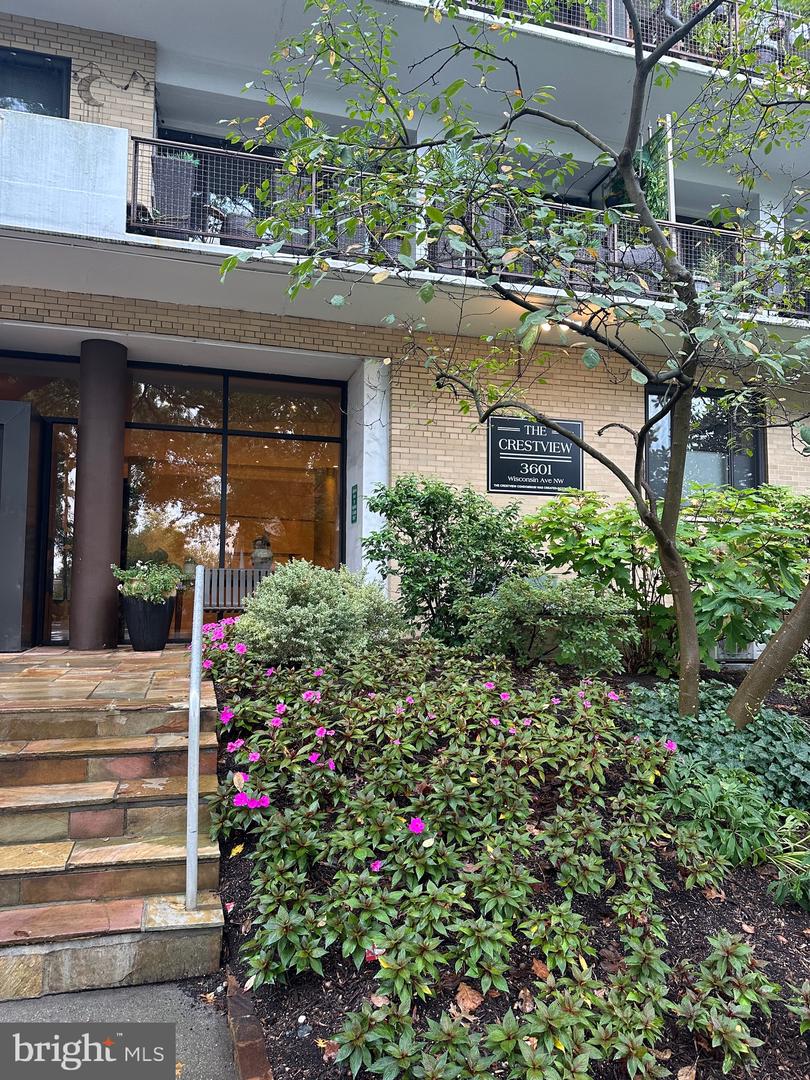 3601 Wisconsin Avenue NW #302