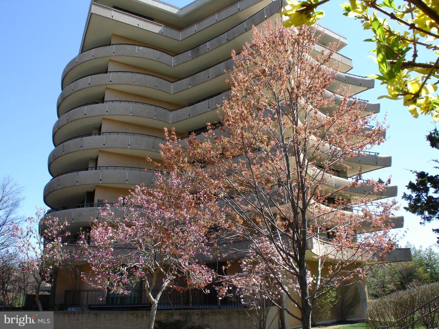 4200 NW Massachusetts Avenue NW #613