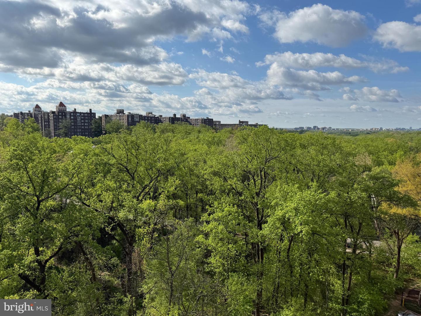 4201 Cathedral Avenue NW #1406e