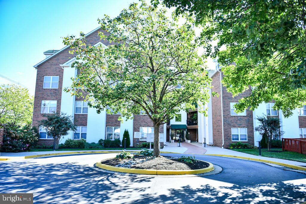 934 Bay Ridge Avenue #308, Annapolis