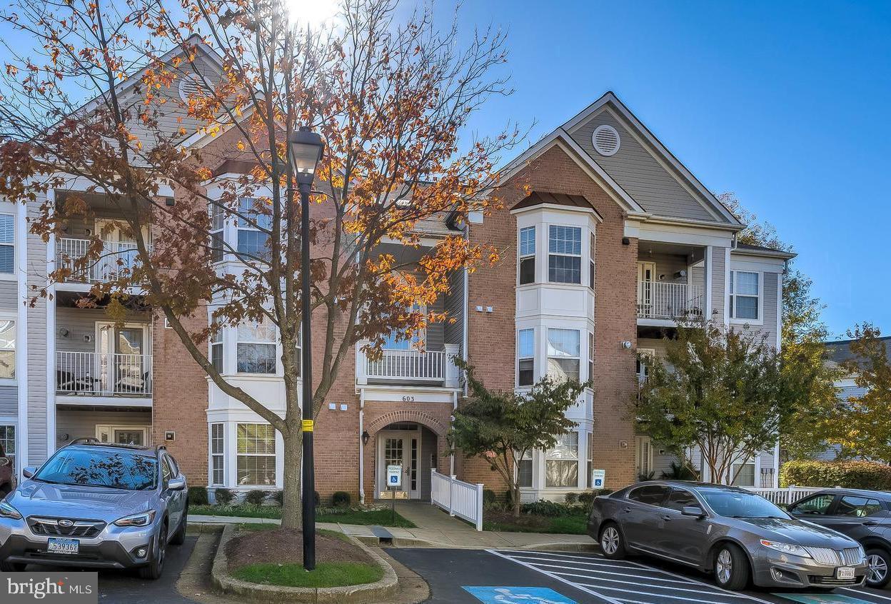603 Burtons Cove Way #3, Annapolis