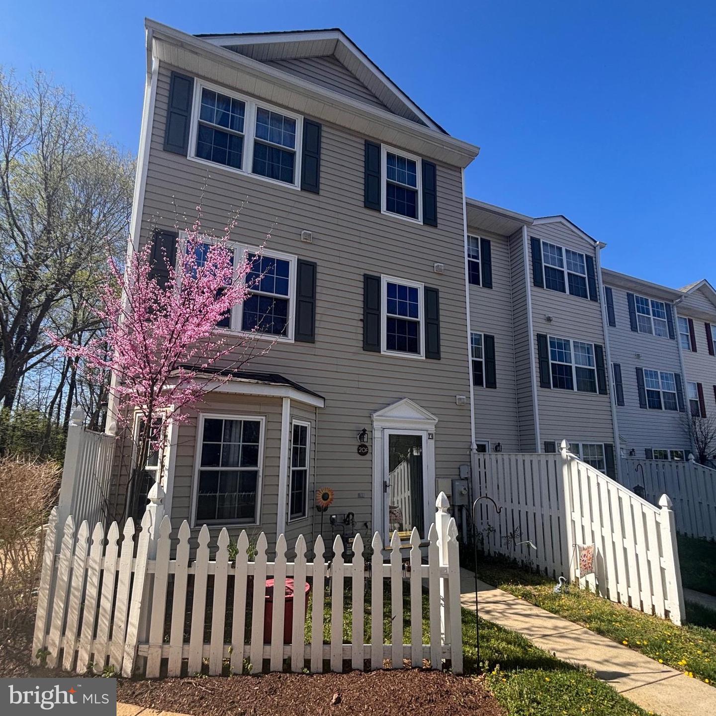 20 F Ironstone #20 F, Annapolis