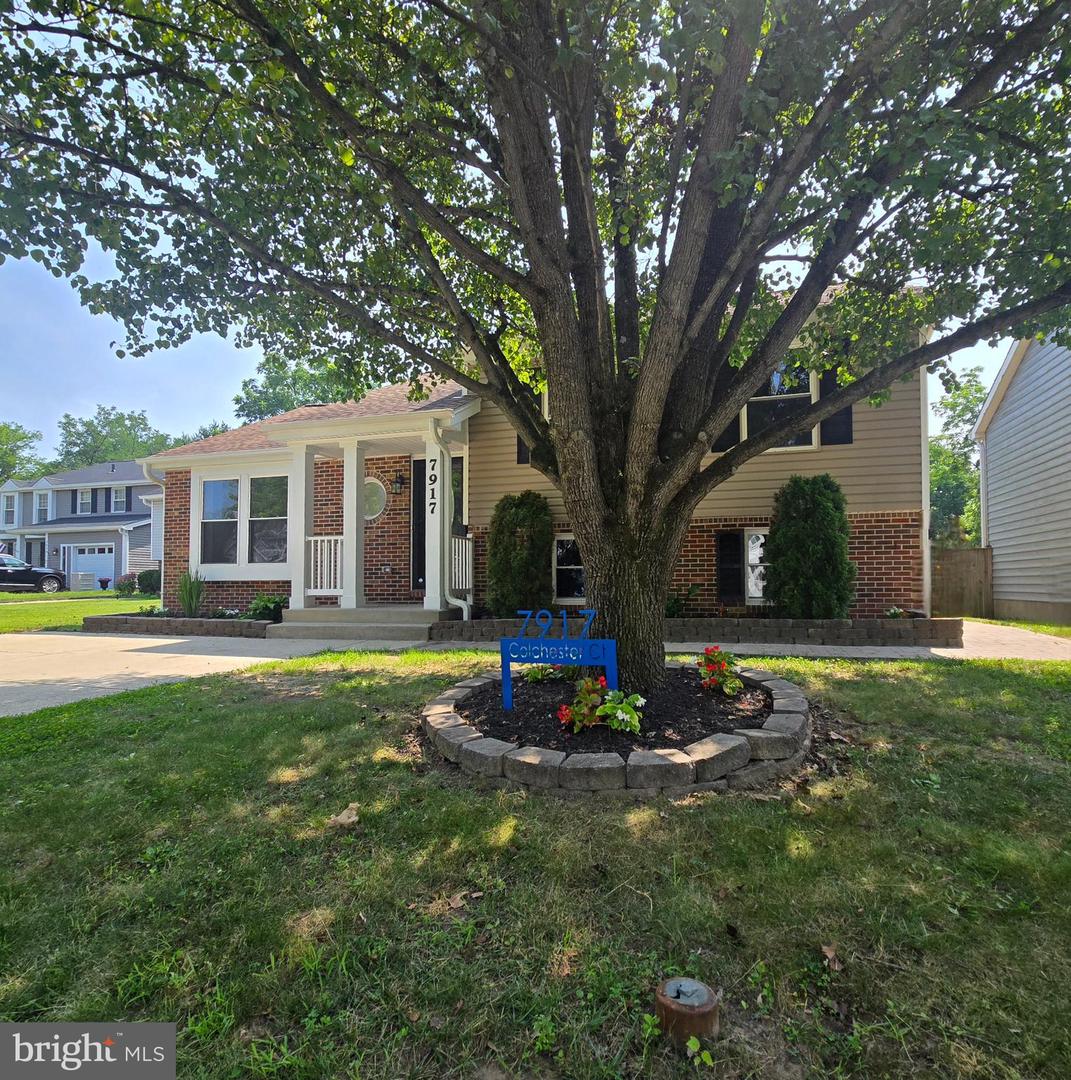 7917 Colchester Court
