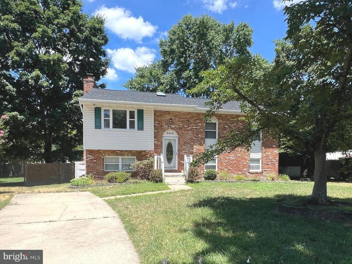 8205 Millfield Court