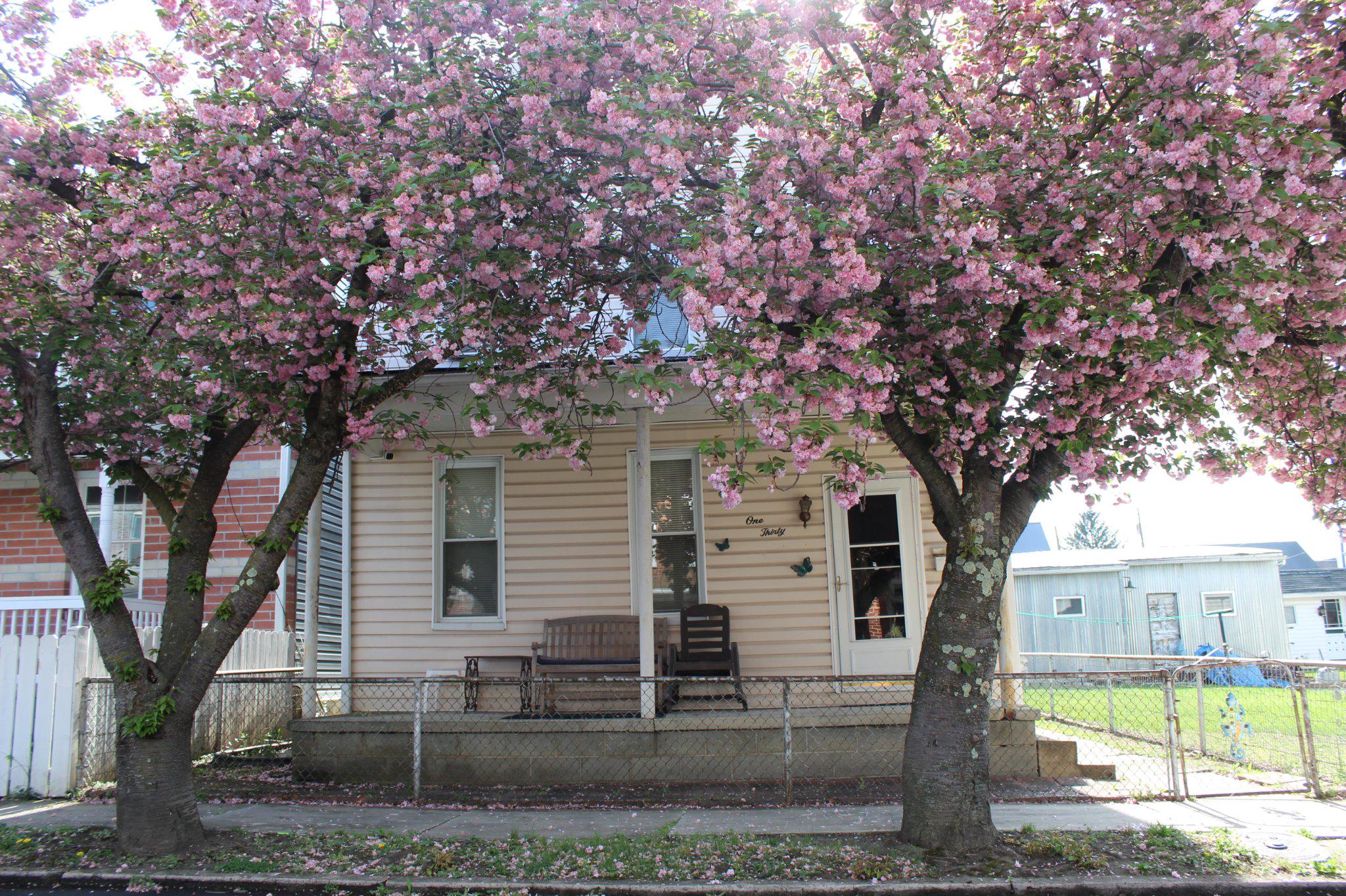 130 Oak Street