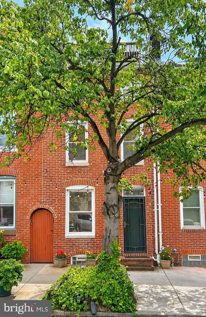 205 S Ann Street