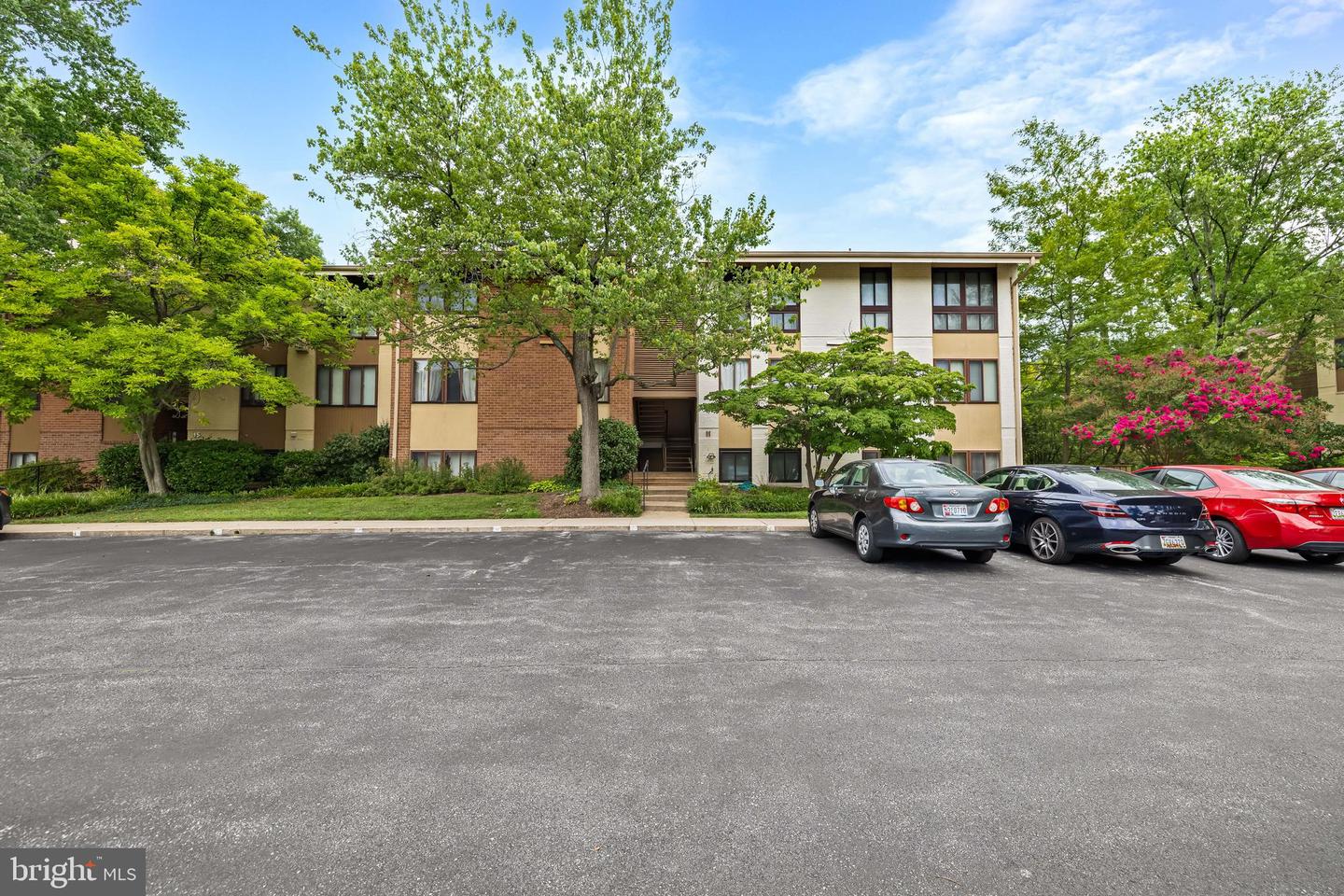 11 Hamill Road #11e