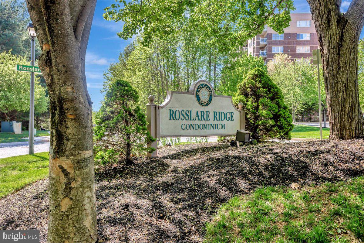 12310 Rosslare Ridge Road #501, Lutherville Timonium