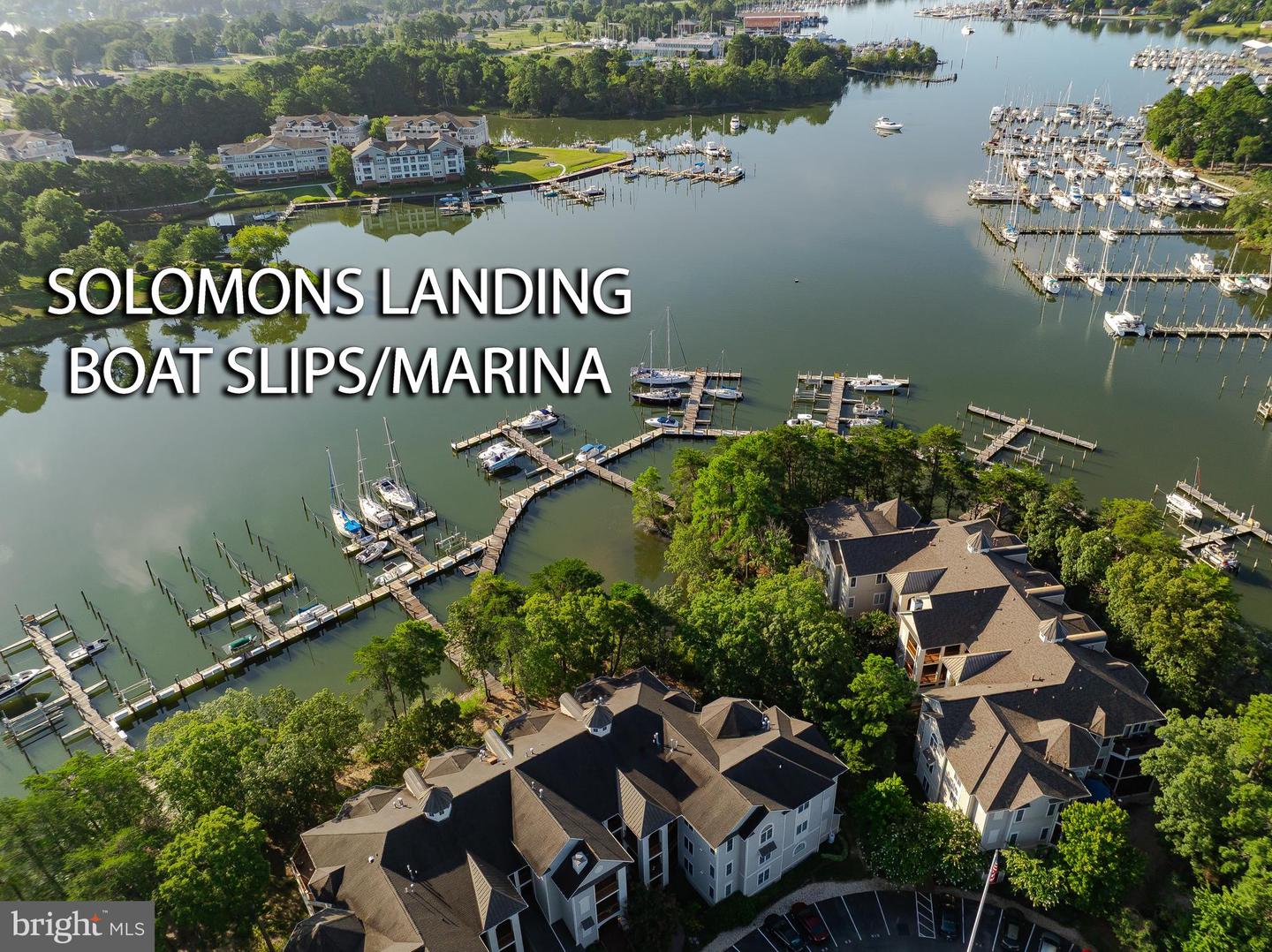 222 Driftwood Lane #222, Solomons