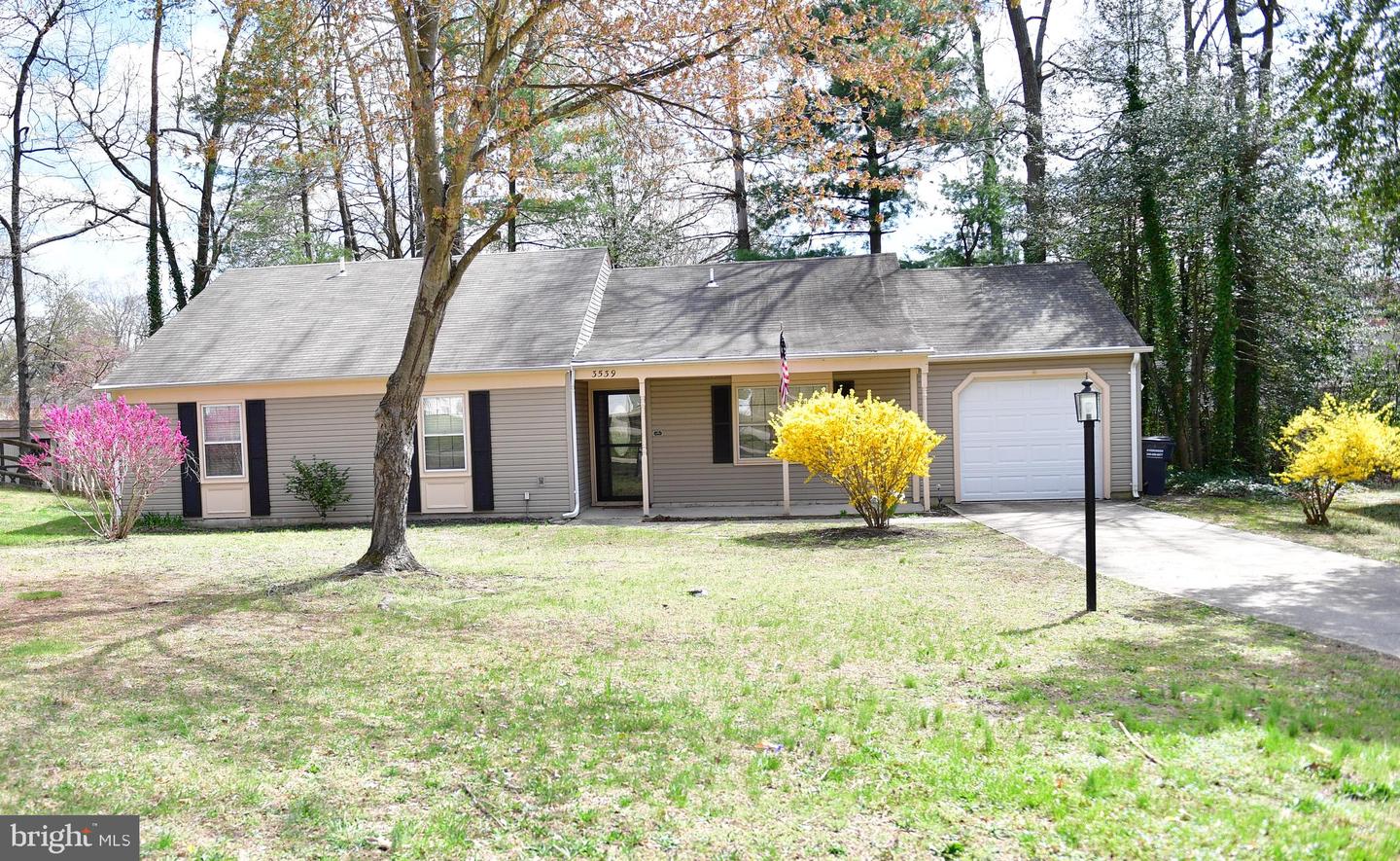 3539 Smokethorn Court