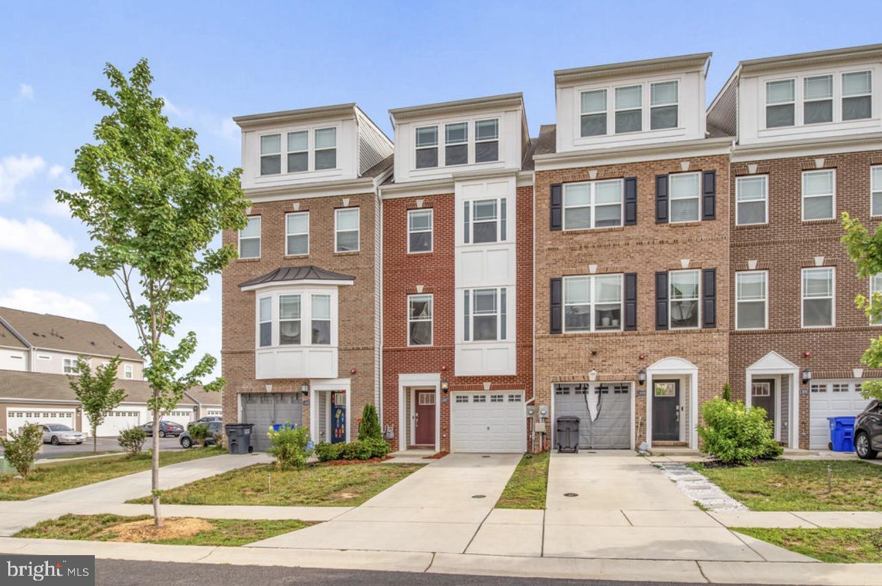 11687 Emily Dickinson Pl