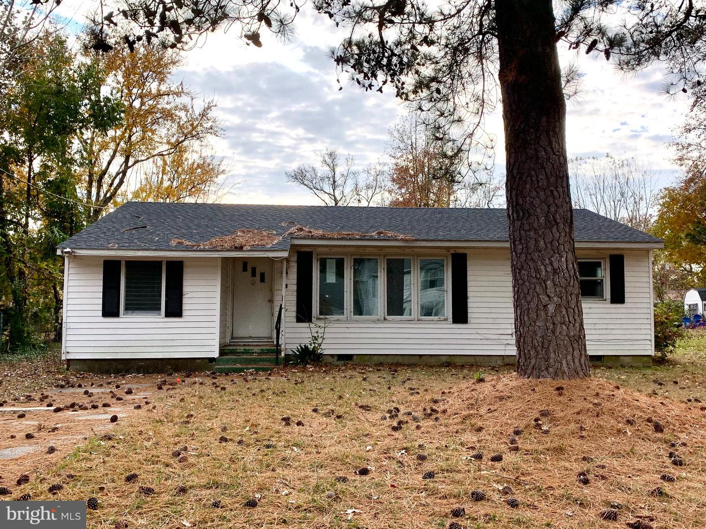 10 Bay View Avenue, Cambridge
