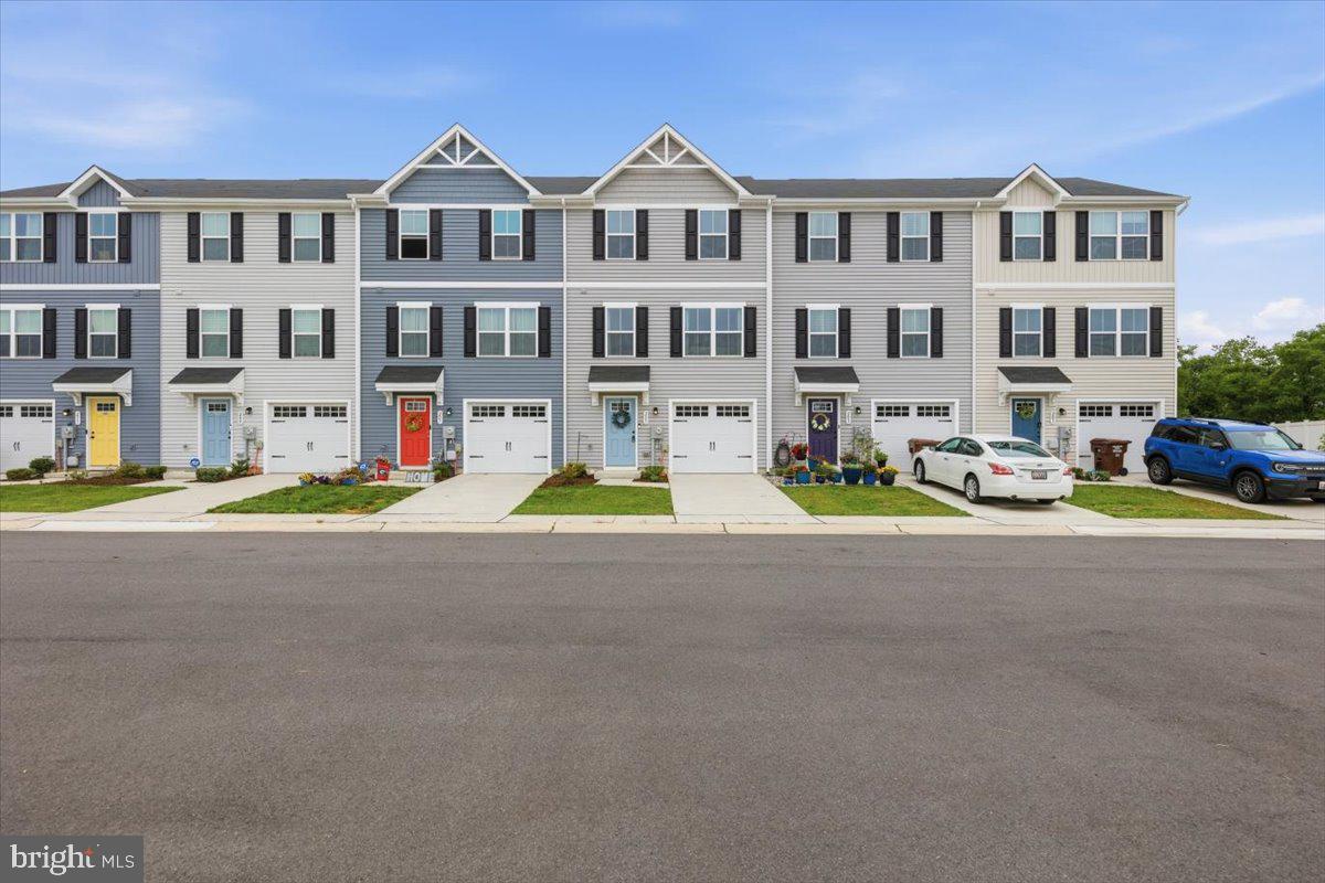205 Yellow Bill Ln, Cambridge