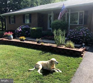 4205 Rolling Acres Drive, Mount Airy