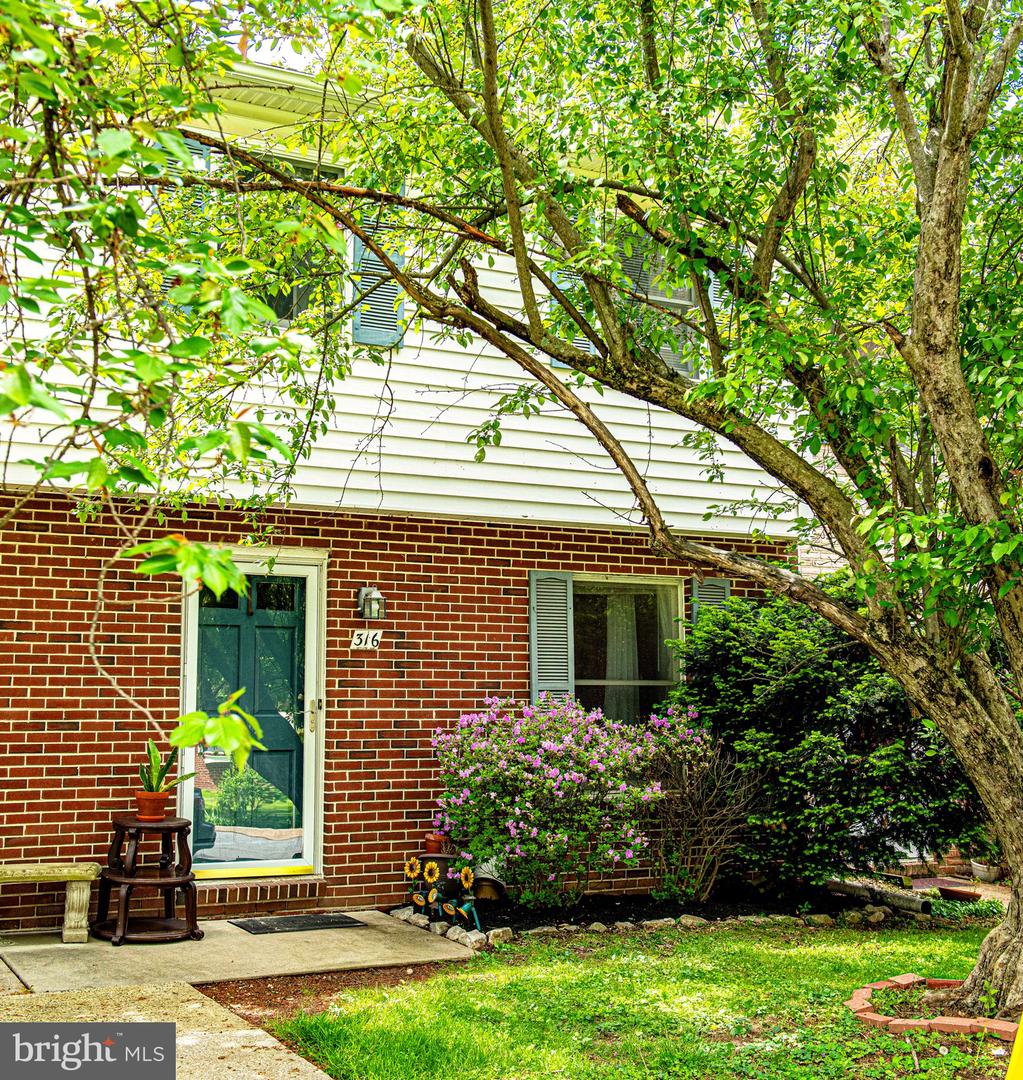 316 Franklin Street #316