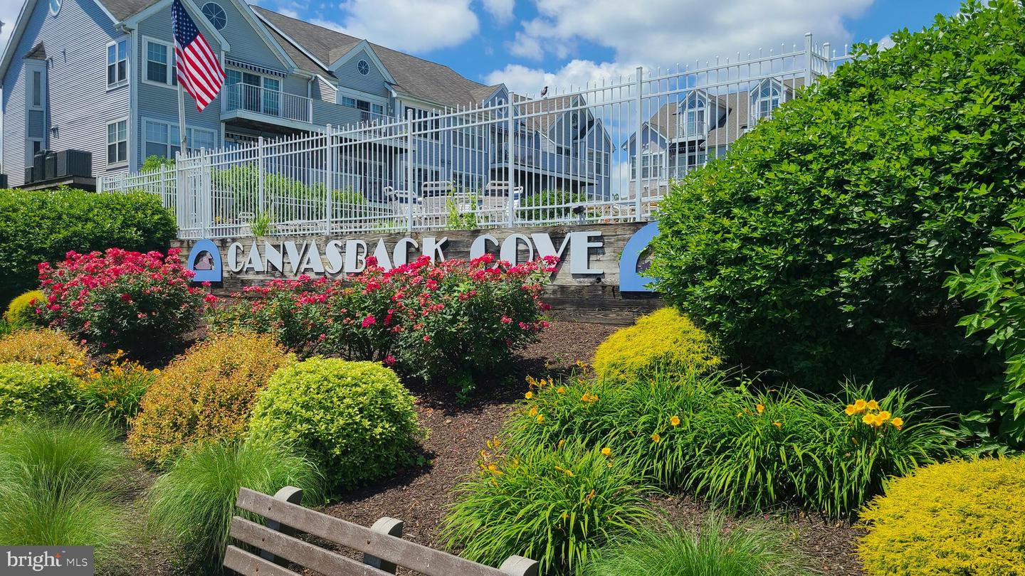 249 Fountain Street #249-D