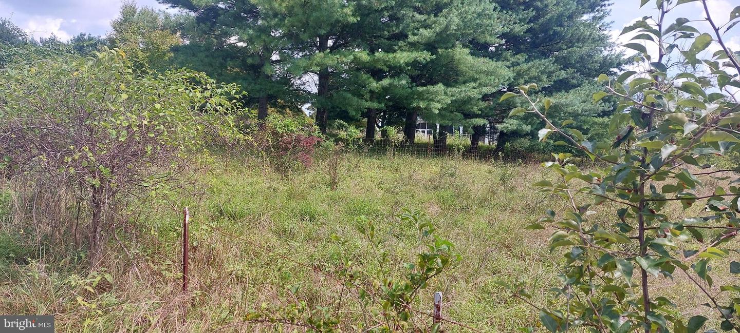 8507 Old Frederick Road, Ellicott City