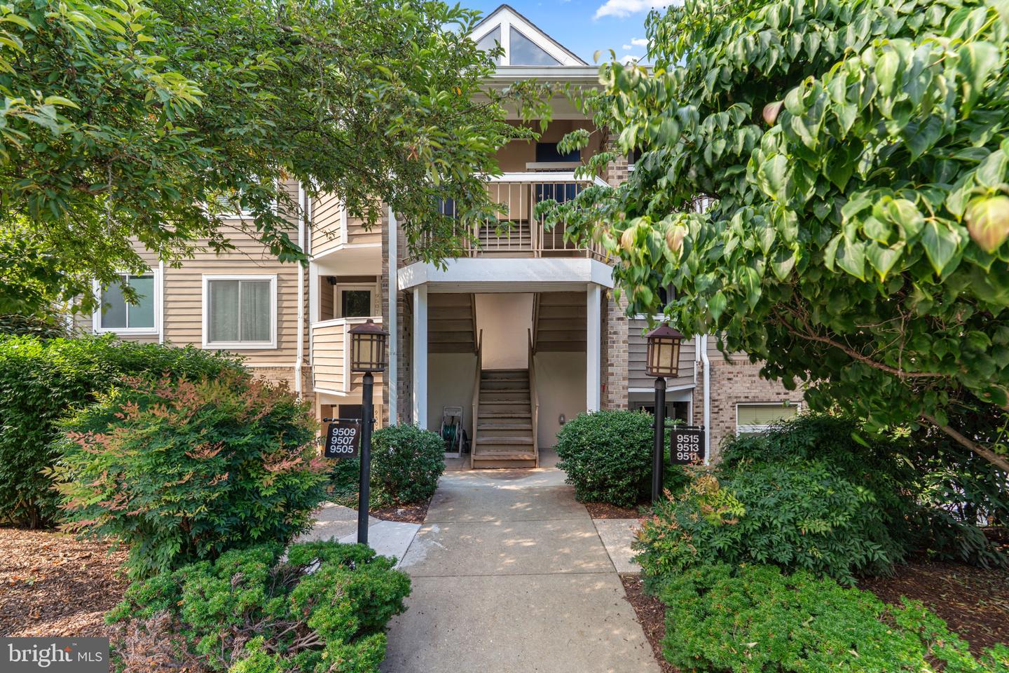9515 Hickory Limb # 304
