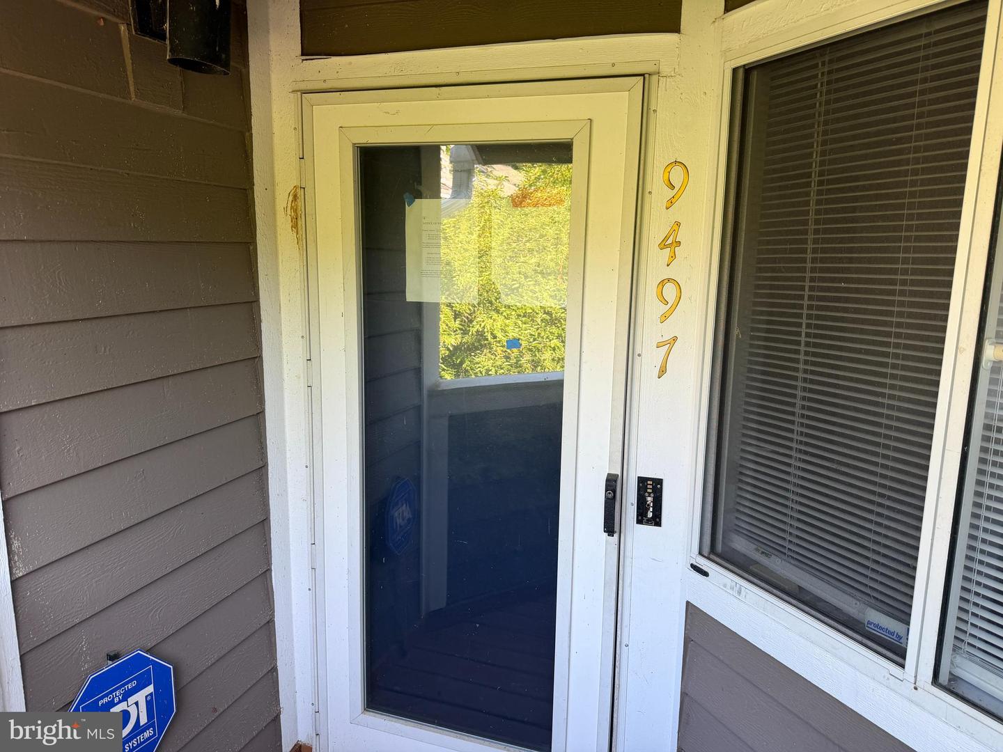 9497 Hickory Limb #301