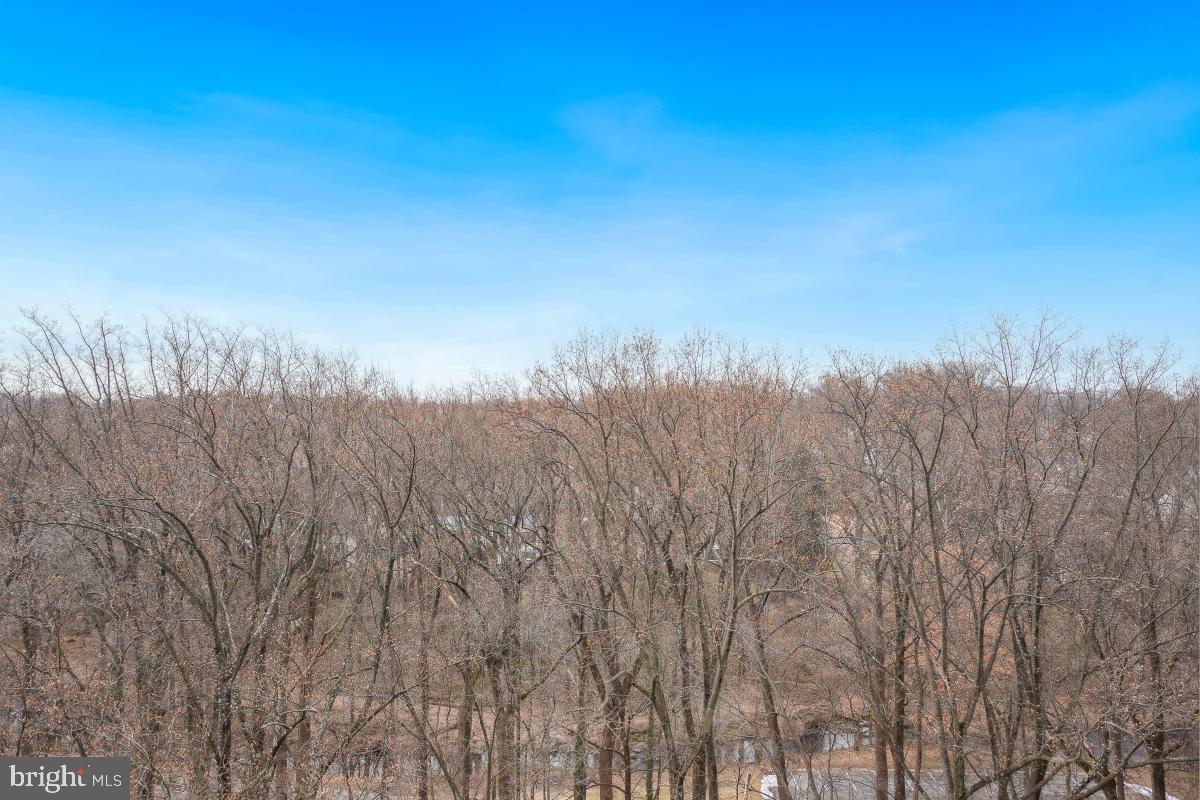 9039 Sligo Creek Parkway #903, Silver Spring