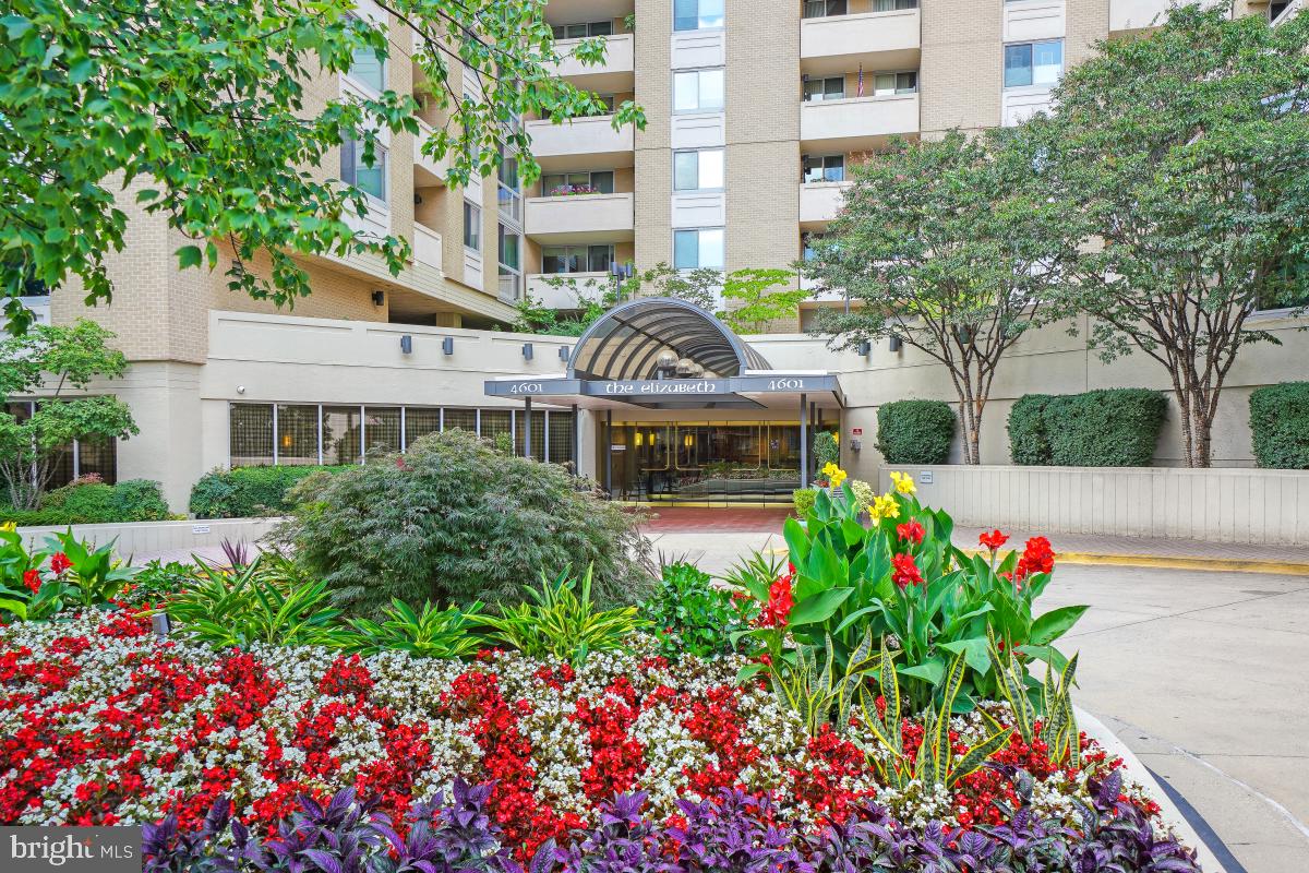 4601 N Park Avenue #315, Chevy Chase