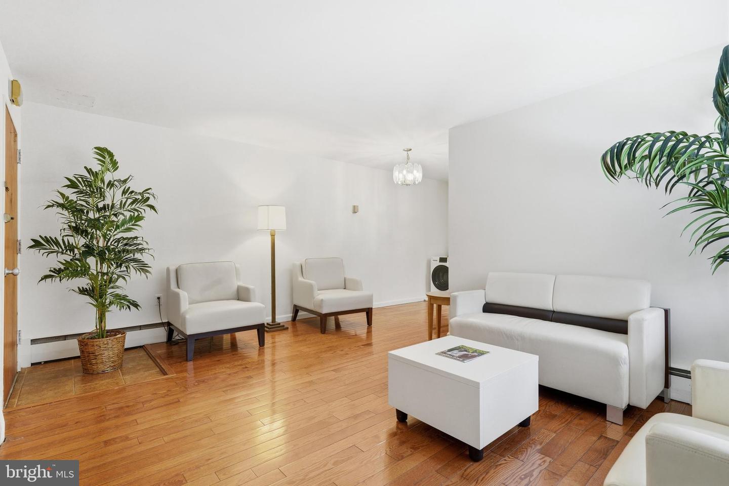 7738 Maple Avenue #6