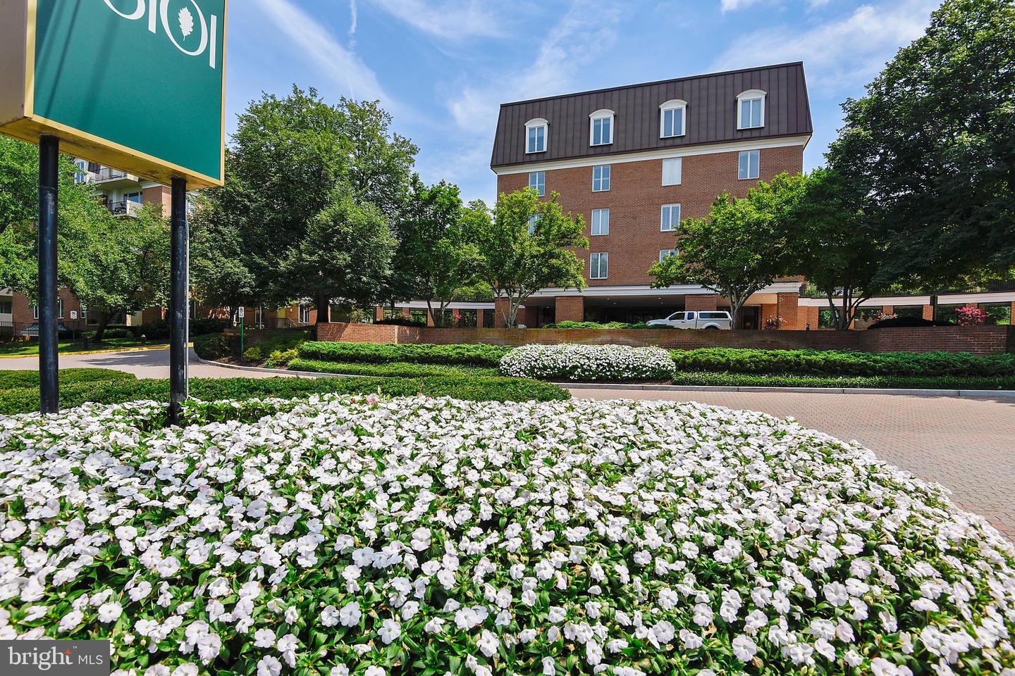 8101 Connecticut Avenue #S-307