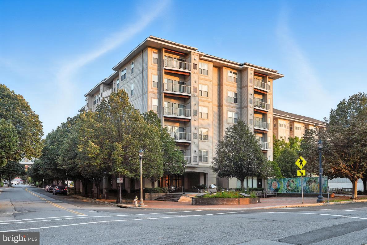 8045 Newell St # 423