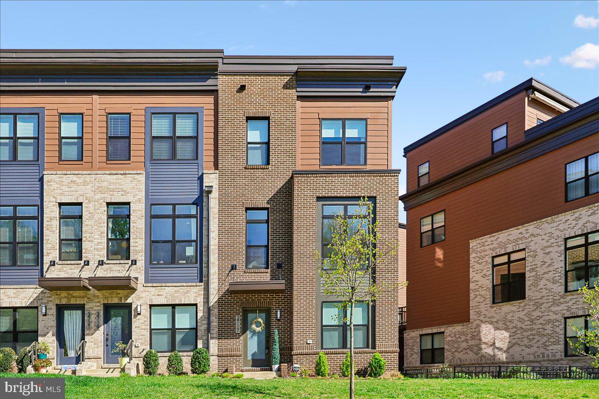 3717 Blue Lobelia Way, Rockville