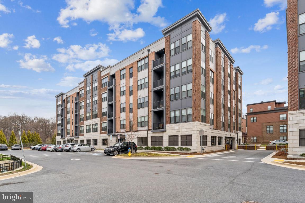 3505 Bellflower Lane #408