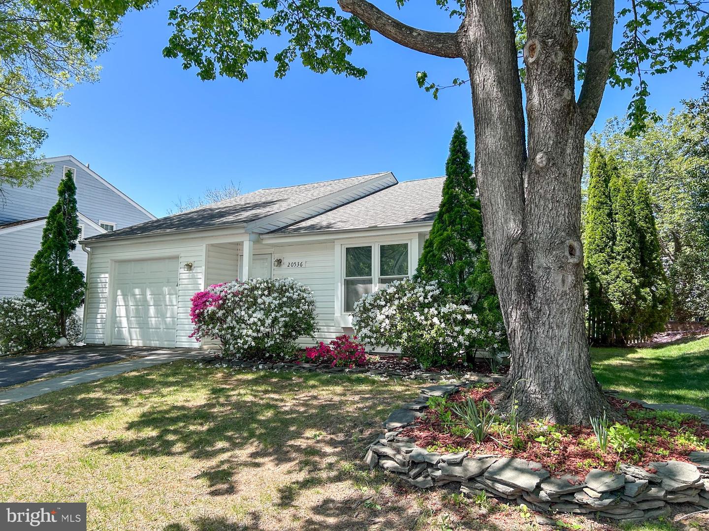 20536 Neerwinder Street, Germantown