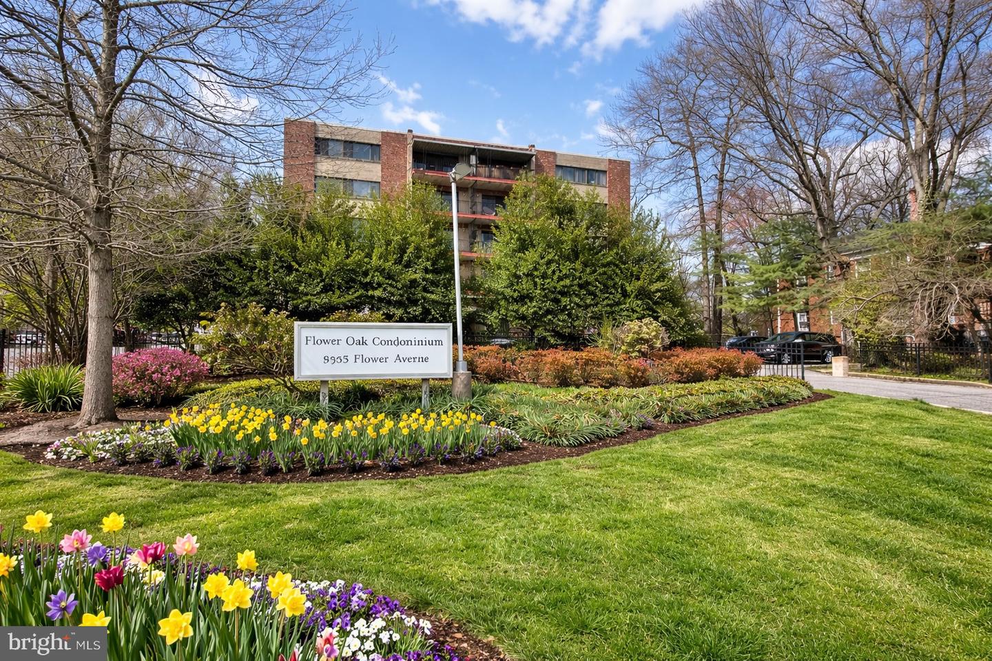 8308 Flower Avenue #203