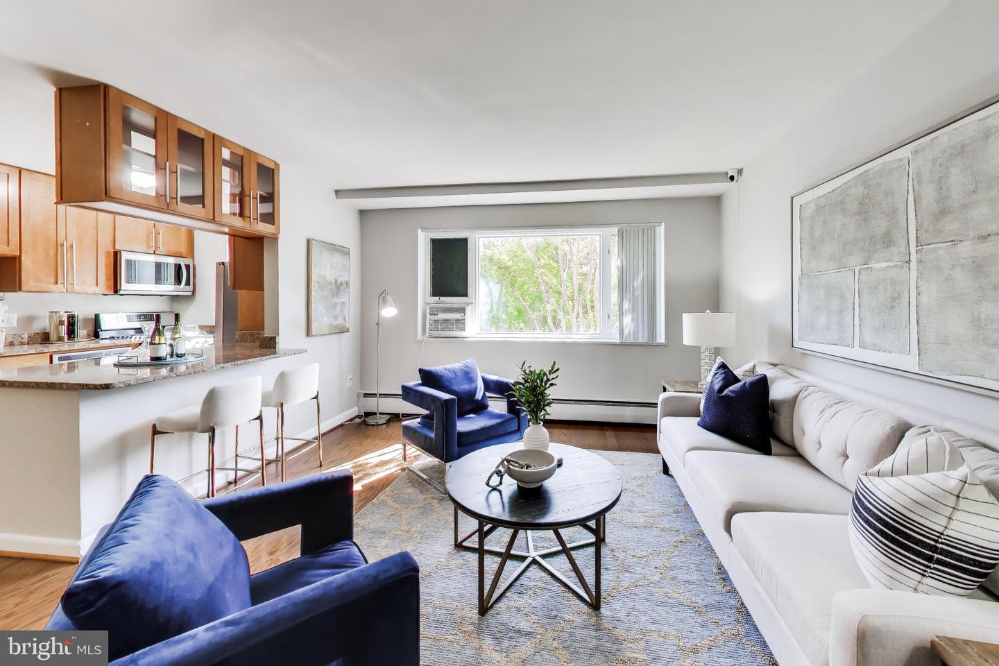 111 Lee Avenue #110, Takoma Park