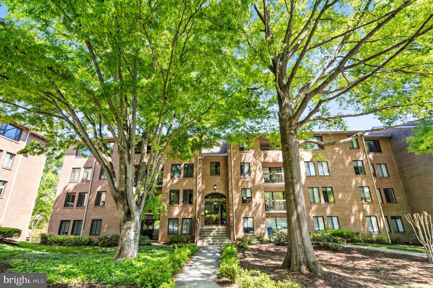 5817 Edson Lane #101