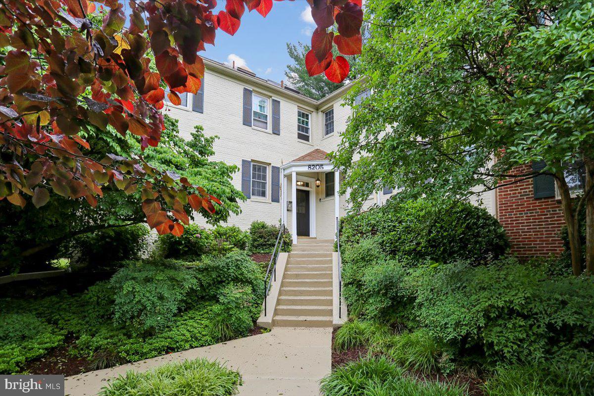8205 Grubb Road #101