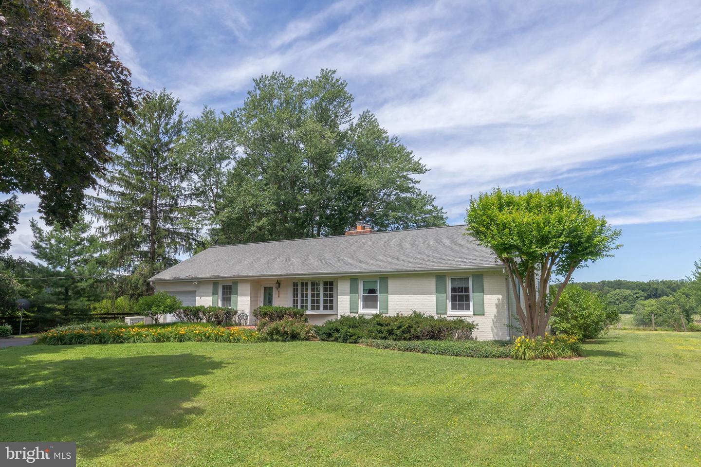 22520 Peach Tree Road