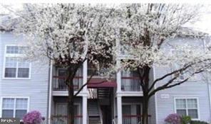 18535 Boysenberry Drive #220