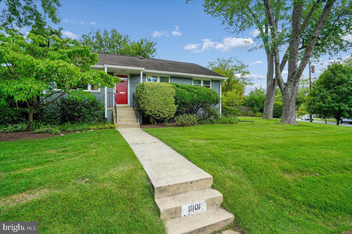 11101 Orleans Way