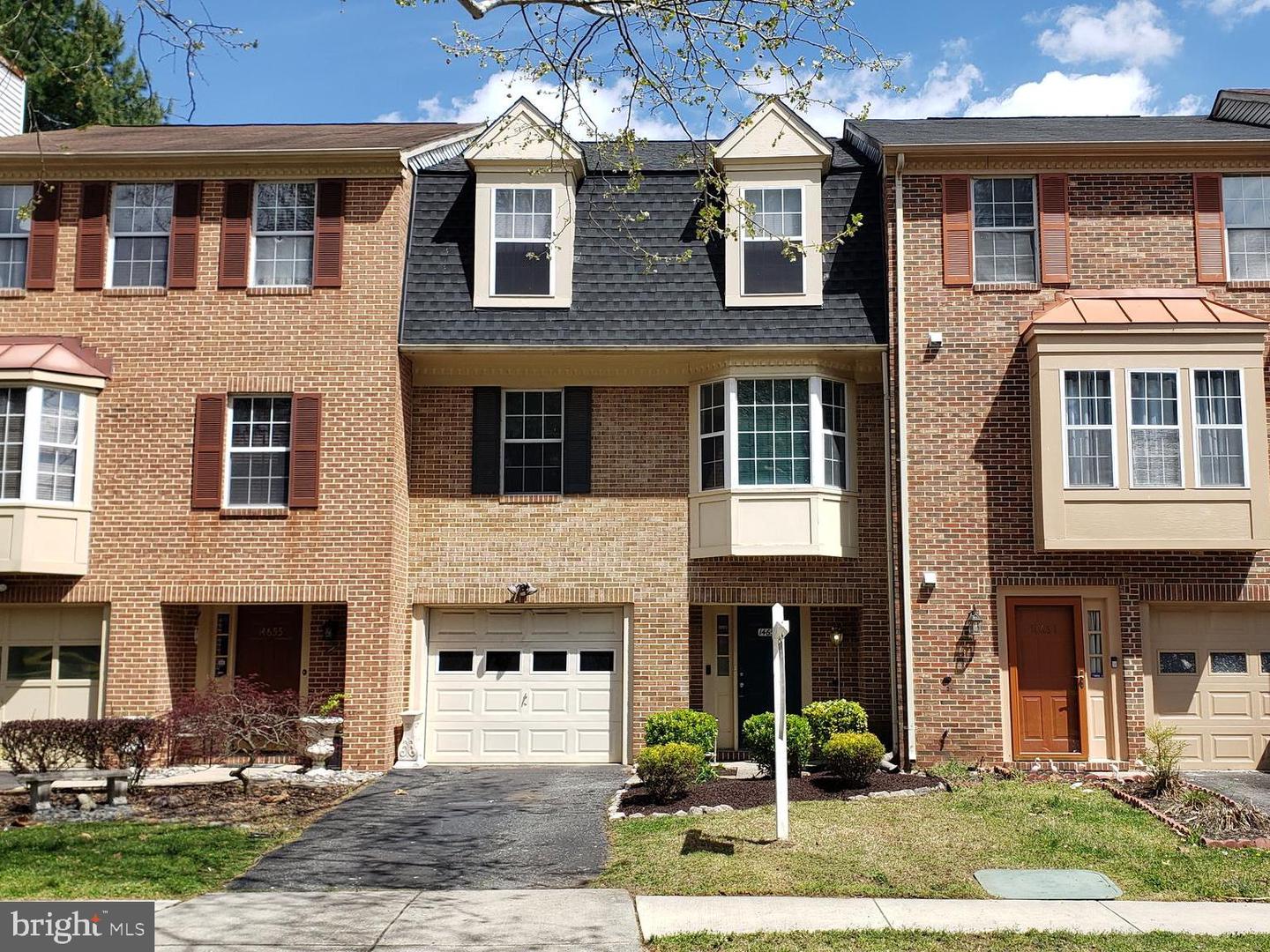14653 Colonels Choice