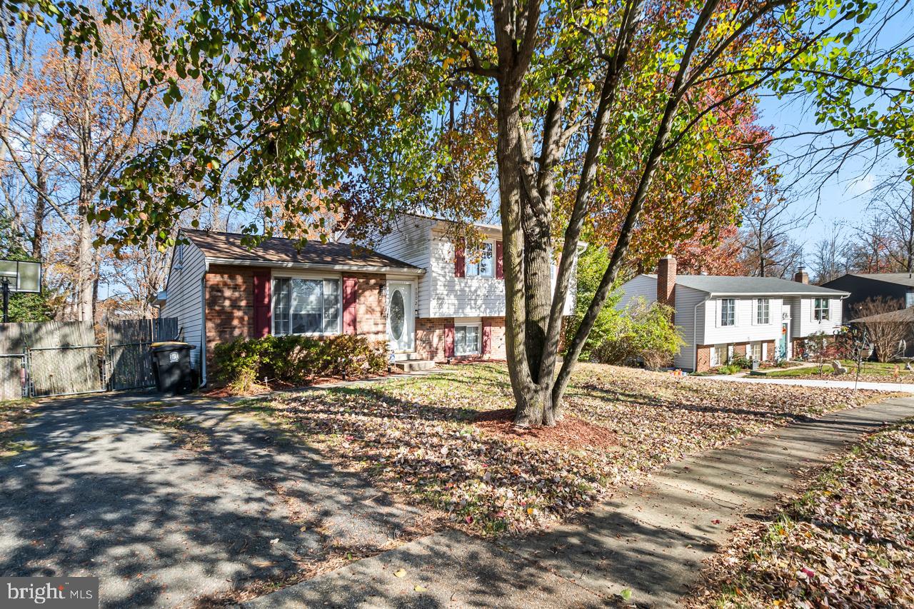 7002 Killarney