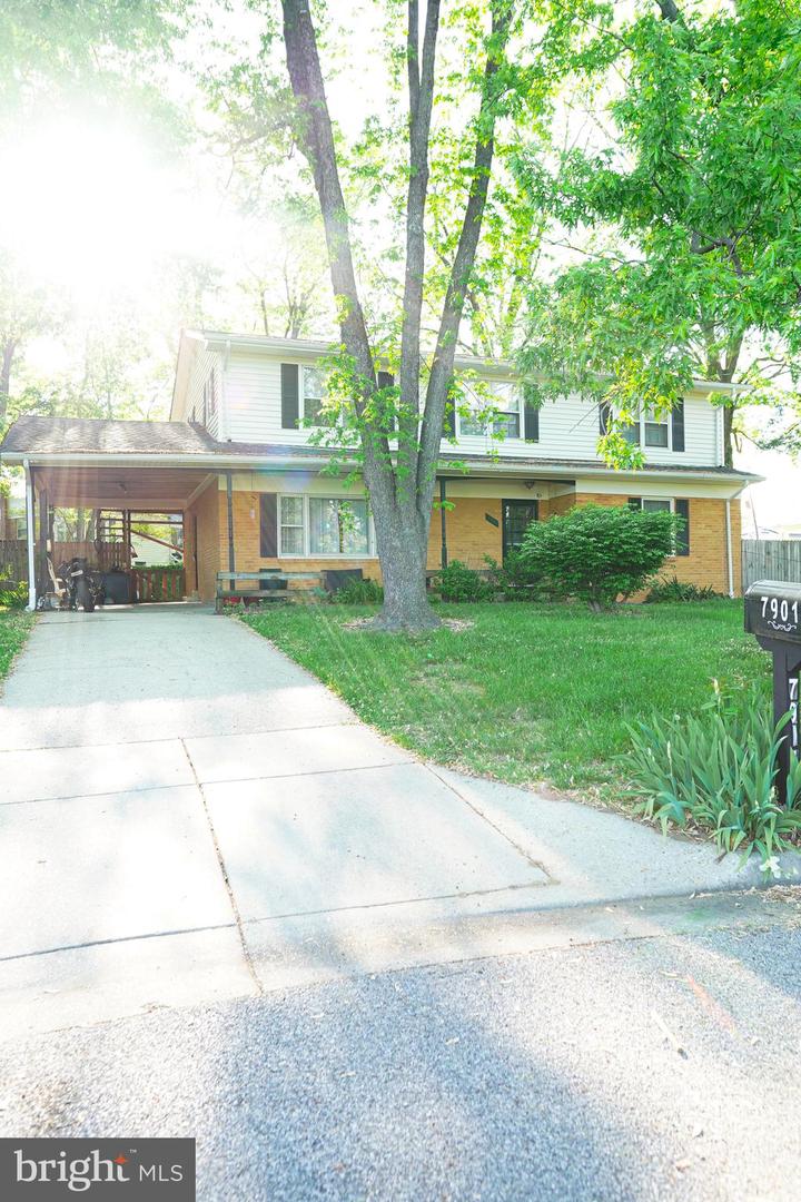 7901 Anne Ct