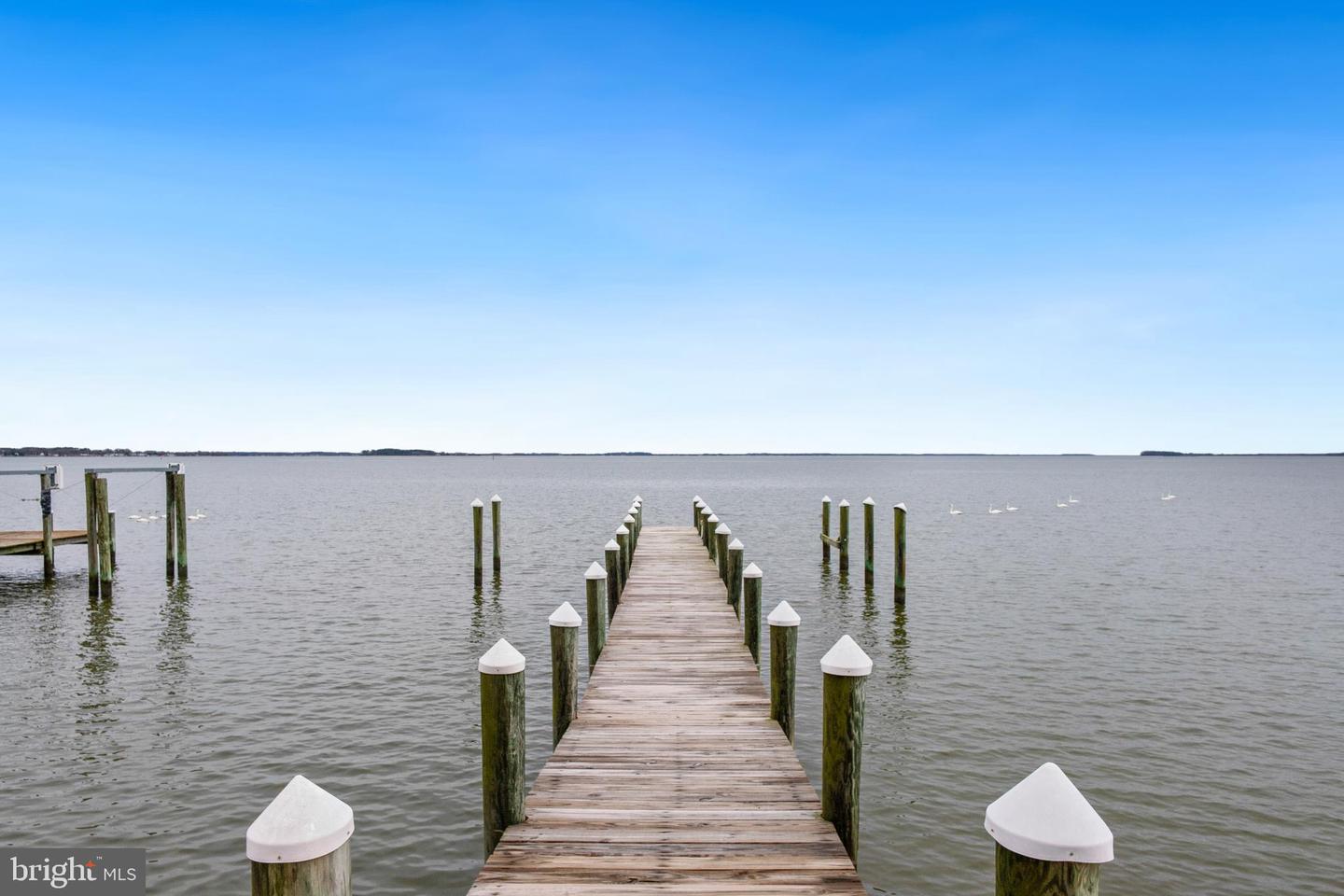 2817 Cox Neck Road, Chester