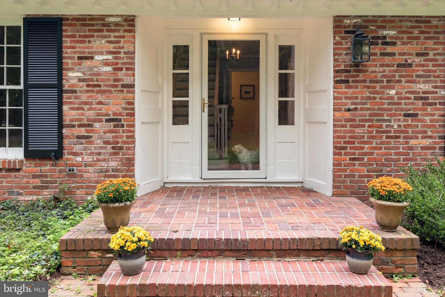 28380 Canvasback Lane, Easton