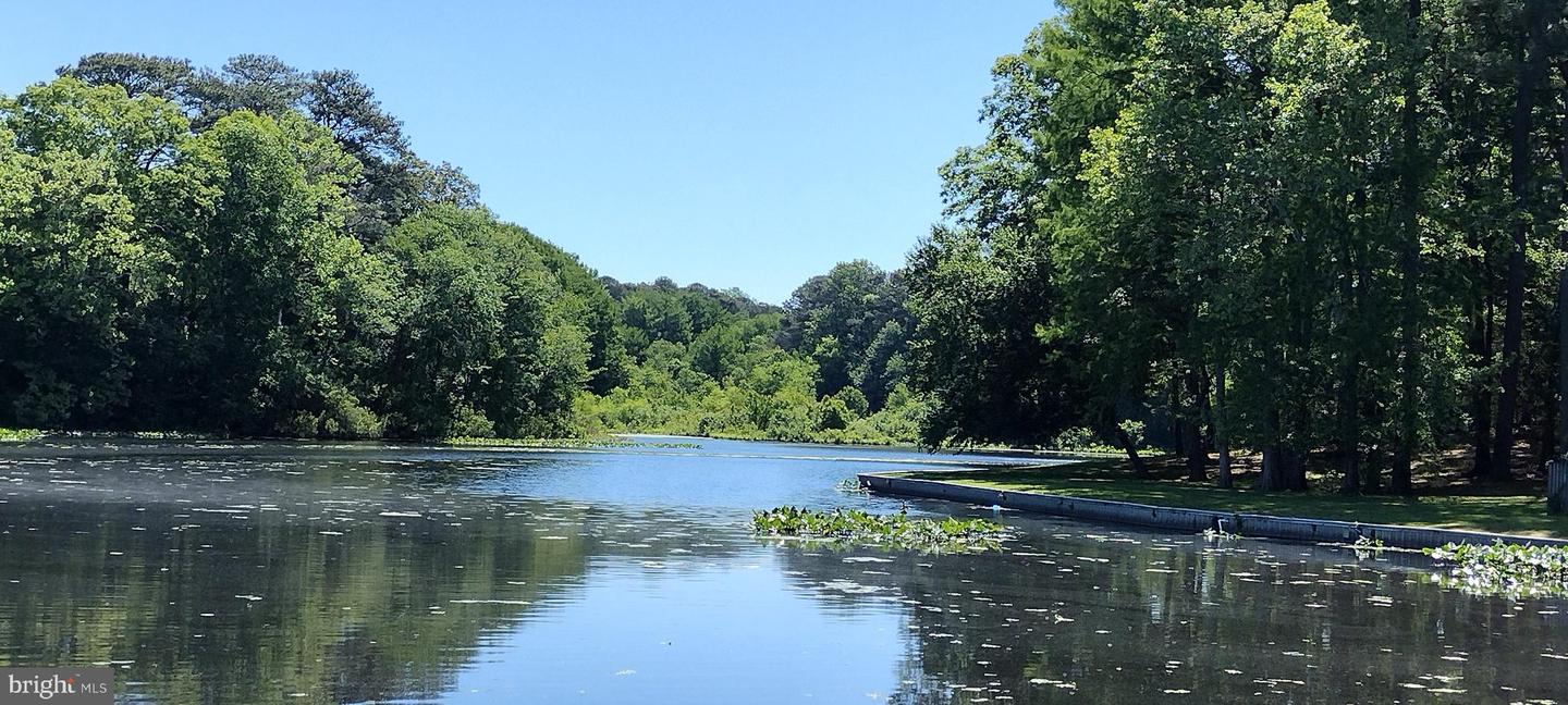 227 Canal Park Drive #205, Salisbury