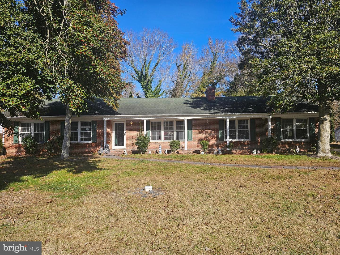 703 Camelia Road, Salisbury