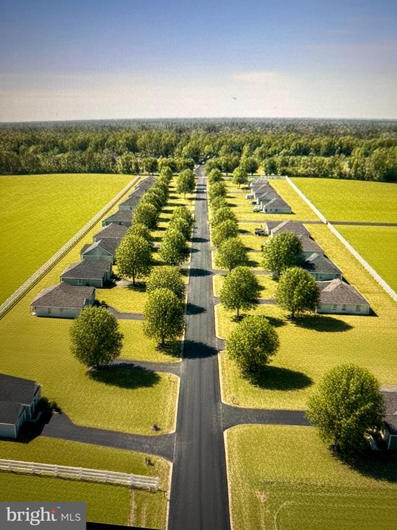 Sandpiper Drive