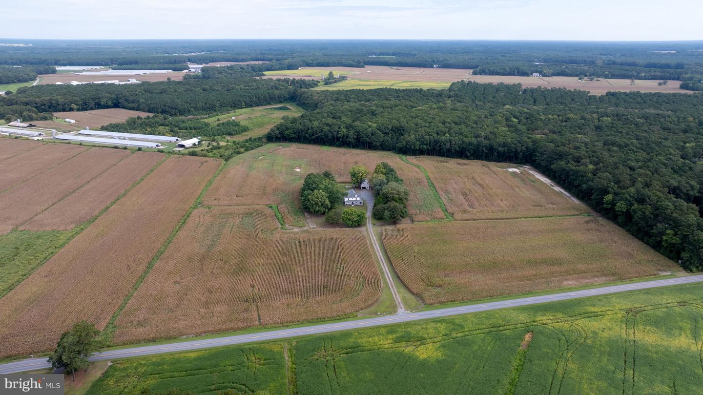 3557 Sheephouse Road, Pocomoke City
