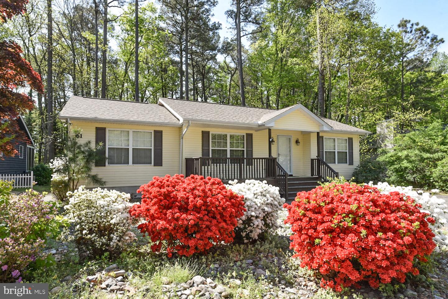 61 Abbyshire Road