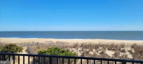 Sandy Square Cm 11901 Wight Street #202